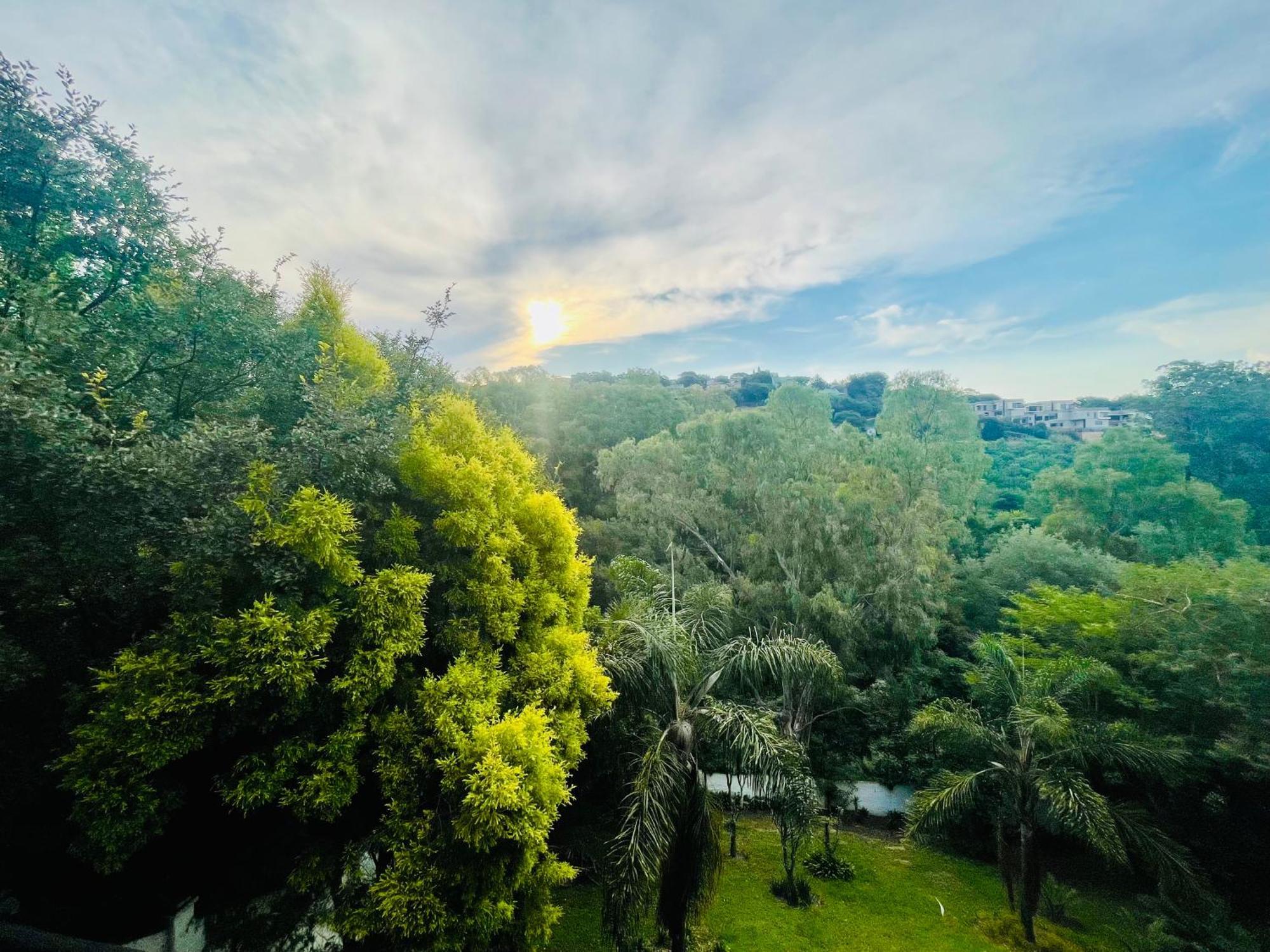 Pretoria Mansion Boutique Hotel Coral Tree Ngoại thất bức ảnh