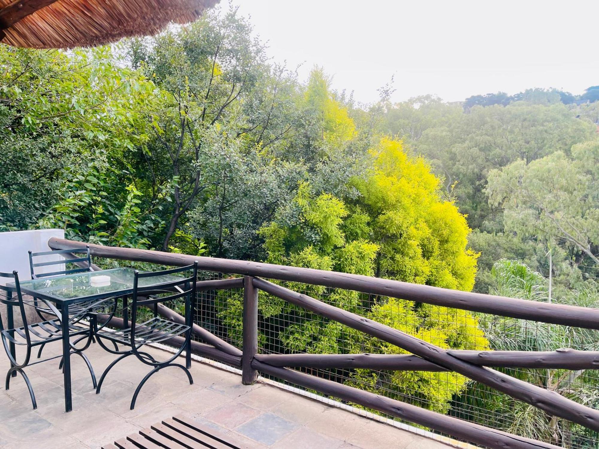 Pretoria Mansion Boutique Hotel Coral Tree Ngoại thất bức ảnh